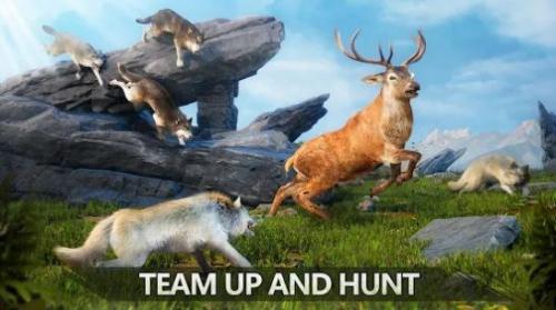 狼族崛起中文版