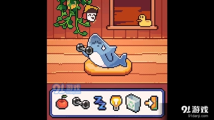 我的小鲨鱼中文版