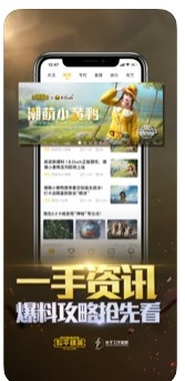 和平精英巡查系统