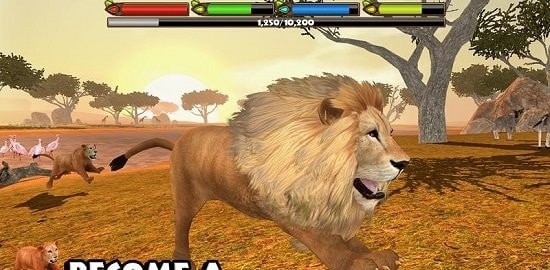 狮子模拟器2