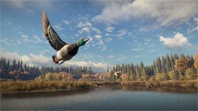 猎人：荒野的召唤正版