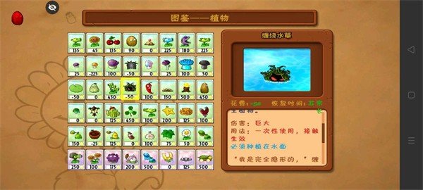PVZ落寞支线2