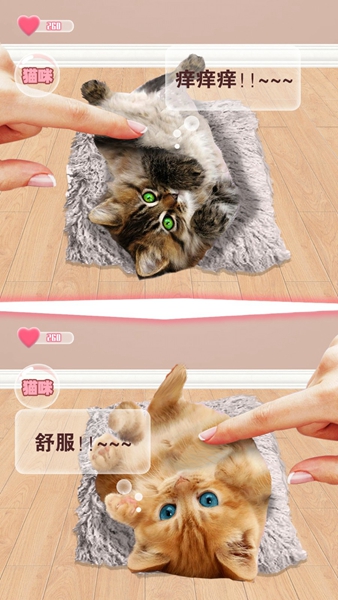 猫咪语言翻译器安卓版