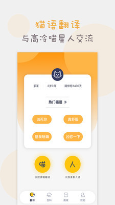 猫语猫咪翻译器