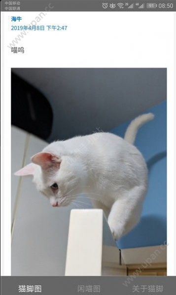 猫咪社区官网app安卓通道下载