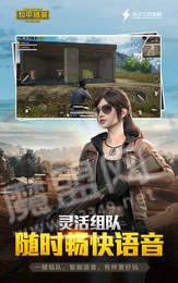 和平精英精简版