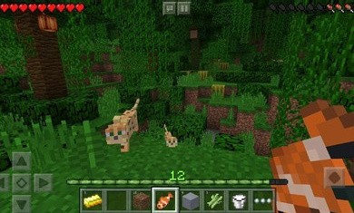 我的世界1.17.32.02