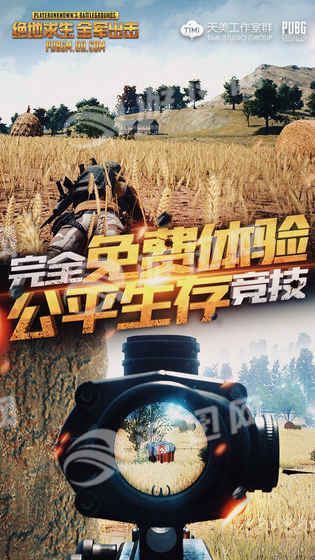 PUBG手游国服