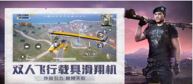 和平精英小蜜蜂助手