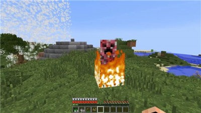 我的世界1.16国际版