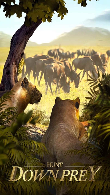 野兽领主新世界2024