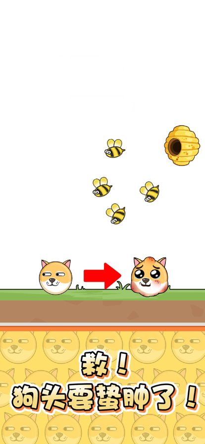 我的狗狗苹果版