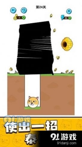 我的狗狗狗头肿了么