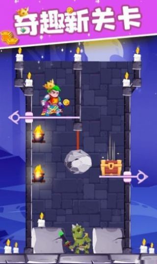 拯救公主骑士2024