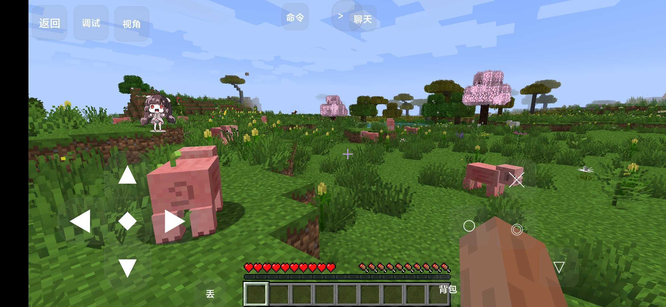 我的世界末日求生