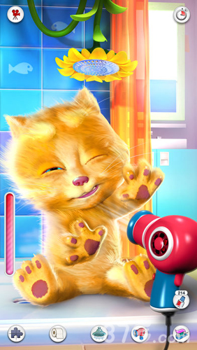 我的金杰猫安卓版