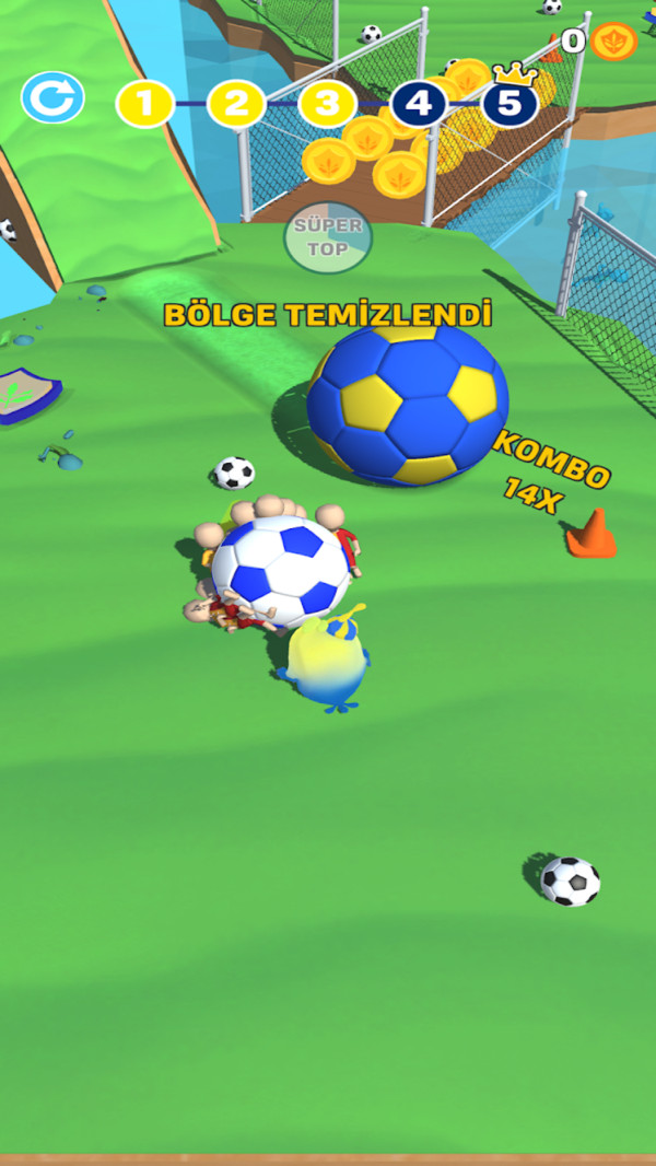 疯狂小鸡足球2024