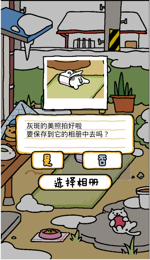 猫咪后院APP