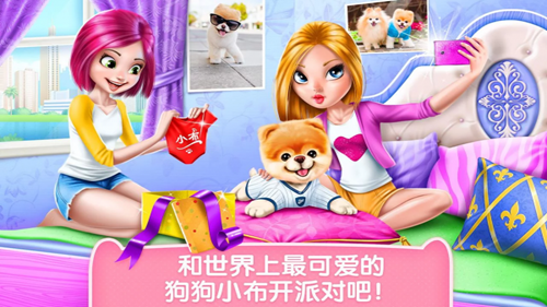 可可公主之宠物小布2024