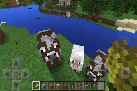 我的世界国际版手机版1.1.6