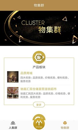 我的系统手机版 1.0