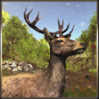 动物猎人：丛林狙击手