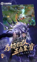 王者荣耀假国标修改器