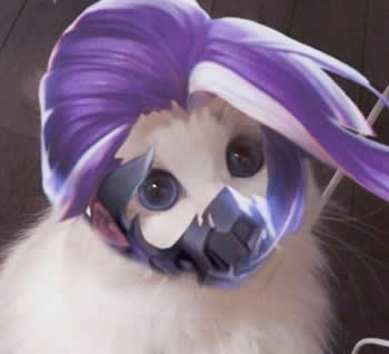 王者荣耀猫咪接头头像制作软件app下载