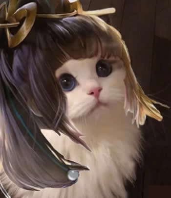 王者荣耀猫咪接头头像制作软件app下载