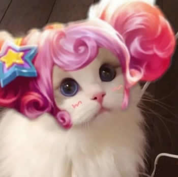 王者荣耀猫咪接头头像制作软件app下载