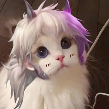 王者荣耀猫咪接头头像制作软件app下载