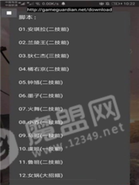 王者荣耀国标悬浮助手