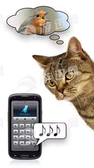 猫语翻译器