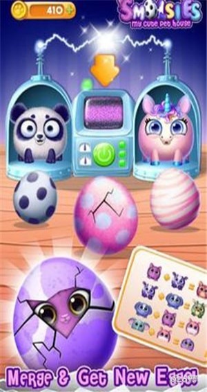 我可爱的宠物屋