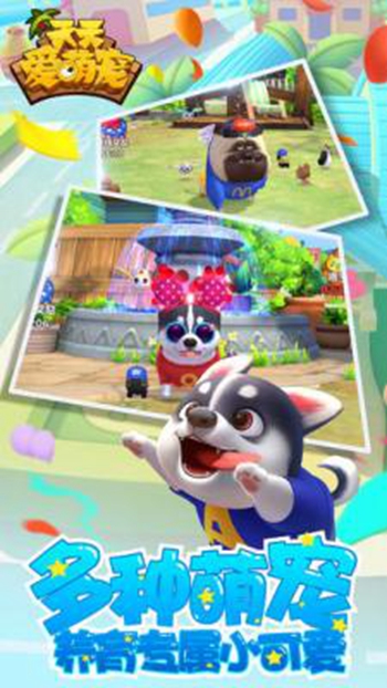 天天爱萌宠app