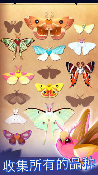 彩翼之星夜starlight