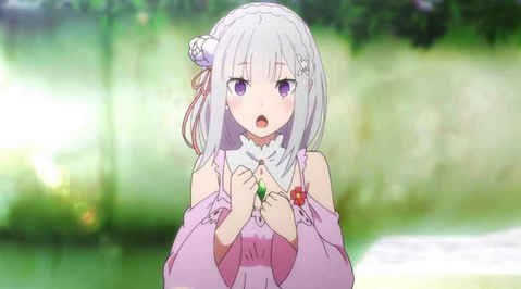 Re从零开始的异世界生活INFINITY