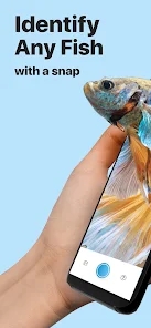 Picture Fish鱼类识别