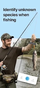 Picture Fish鱼类识别