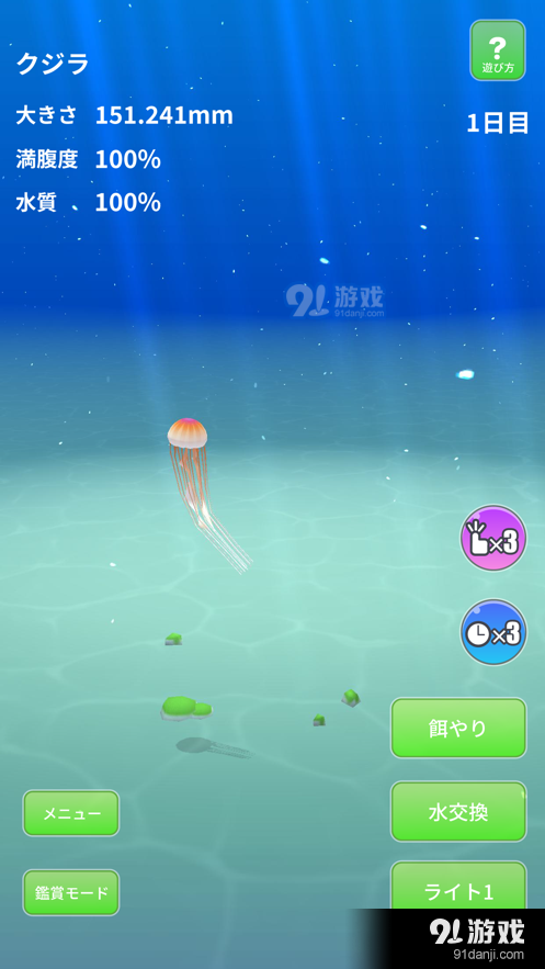 Jellyfish World