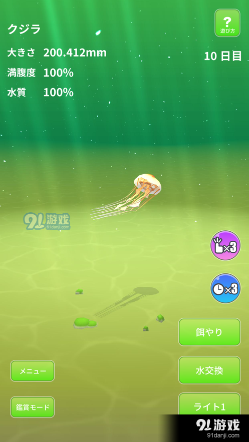 Jellyfish World