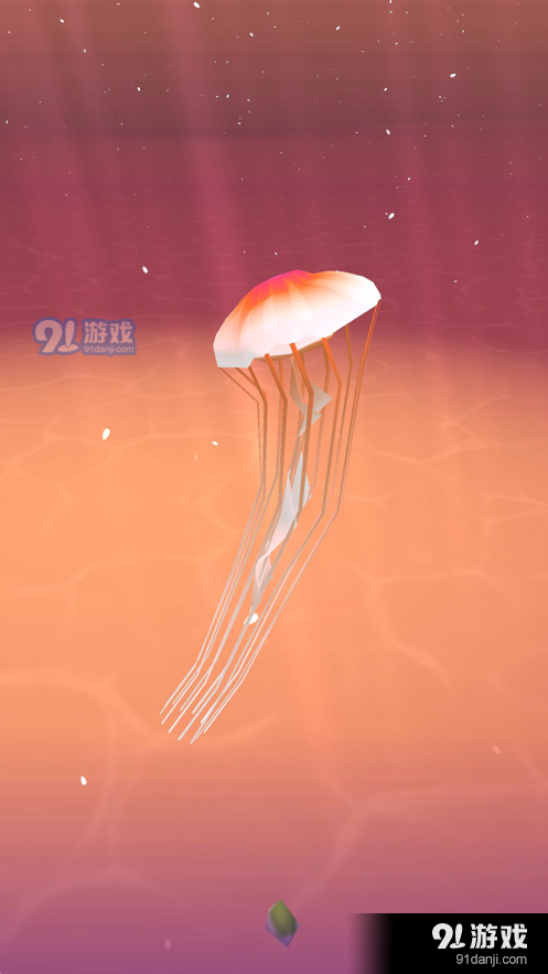 Jellyfish World