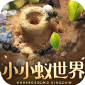 小小蚁世界app