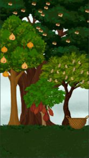 女巫奥利维亚的药水店2024