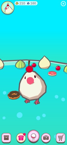 文鸟芭菲宠物2024