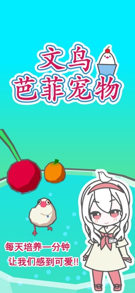 文鸟芭菲宠物2024