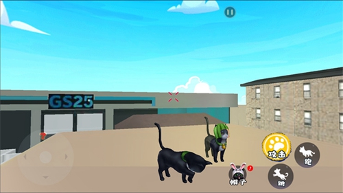 猫咪日常模拟app