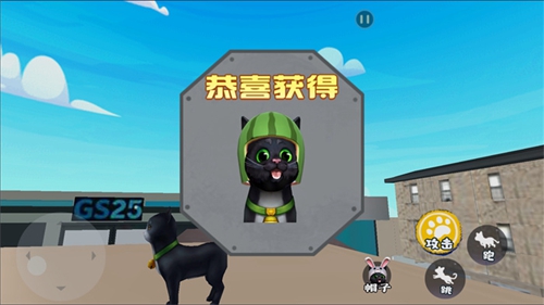 猫咪日常模拟app