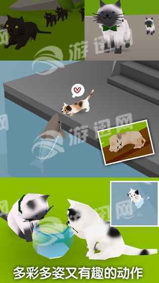 猫猫与鲨鱼安卓版