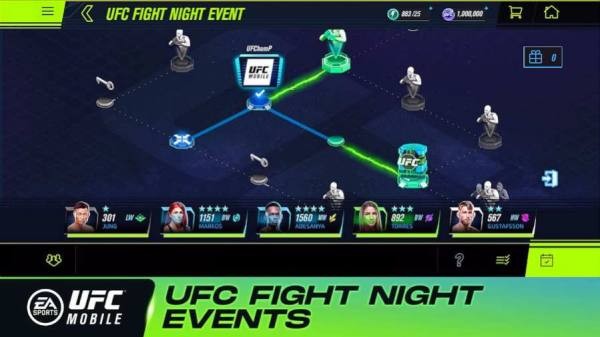UFC终极格斗冠军